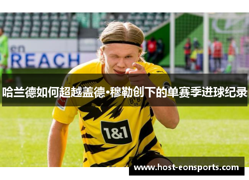 哈兰德如何超越盖德·穆勒创下的单赛季进球纪录