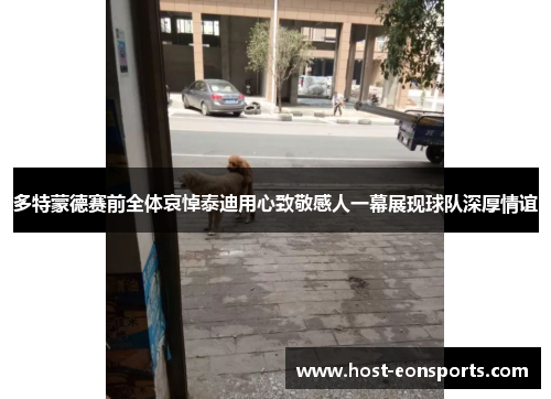 多特蒙德赛前全体哀悼泰迪用心致敬感人一幕展现球队深厚情谊
