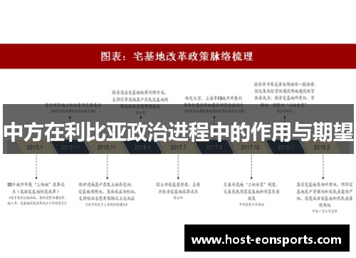 中方在利比亚政治进程中的作用与期望