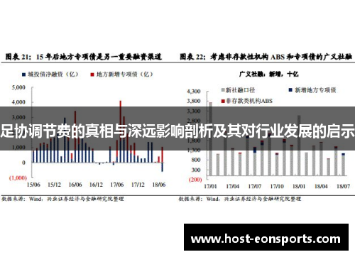 足协调节费的真相与深远影响剖析及其对行业发展的启示