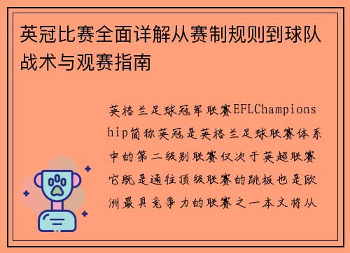 英冠比赛全面详解从赛制规则到球队战术与观赛指南