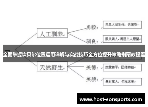 全面掌握坎贝尔位置运用详解与实战技巧全方位提升策略指南教程篇 全面掌握坎贝尔位置运用详解与实战技巧全方位提升策略指南教程篇